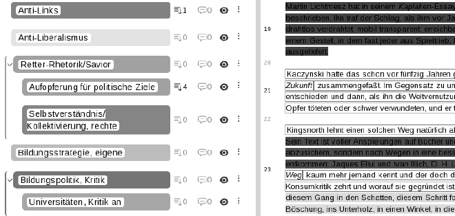 Ausschnitt aus Codierung des Forschungsmaterials; Screenshot aus Codierungsprogramm